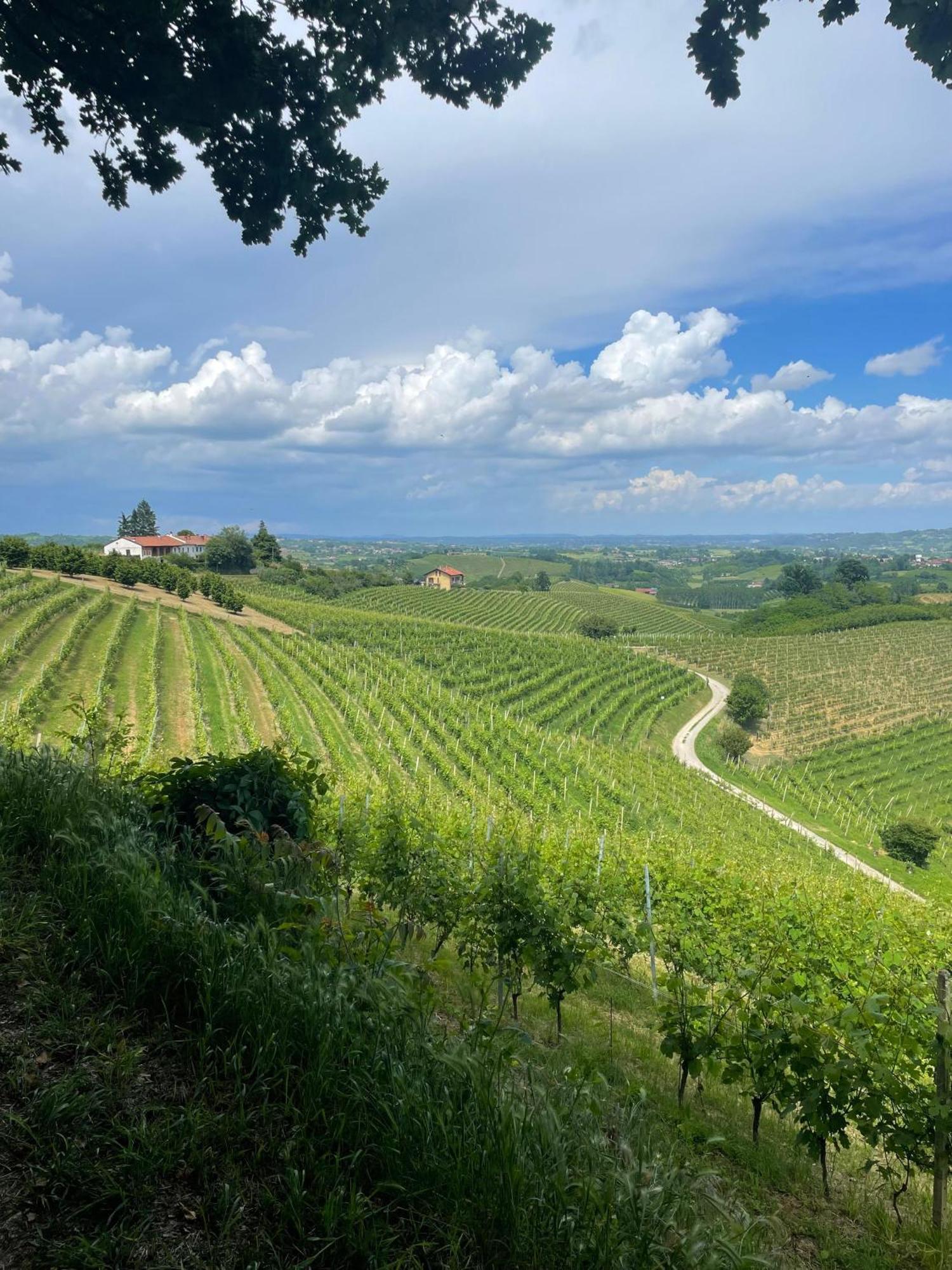 San Damiano dʼAsti Ca' Colombaヴィラ エクステリア 写真